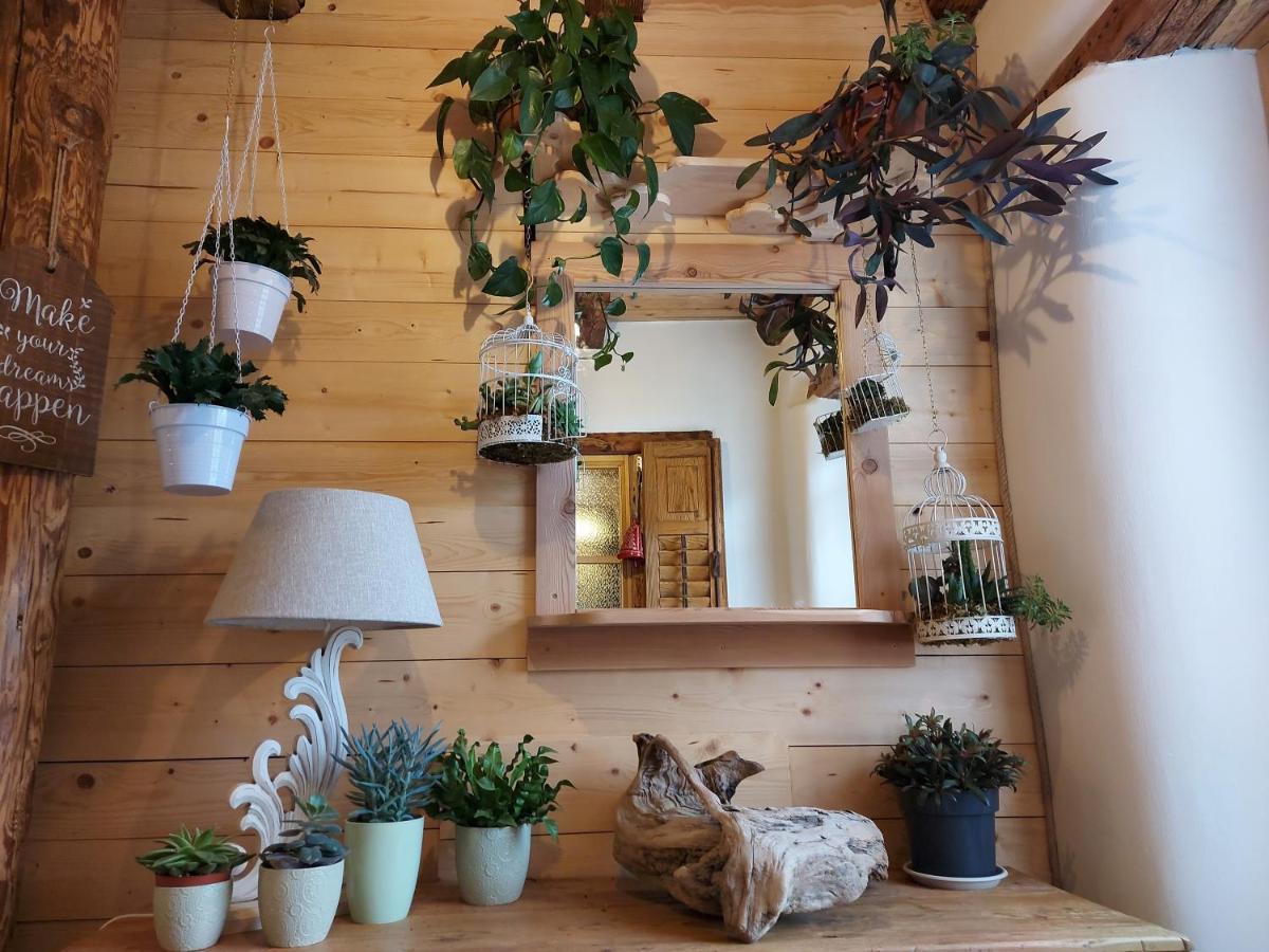 B&B Sognoincadore Domegge di Cadore Exterior foto