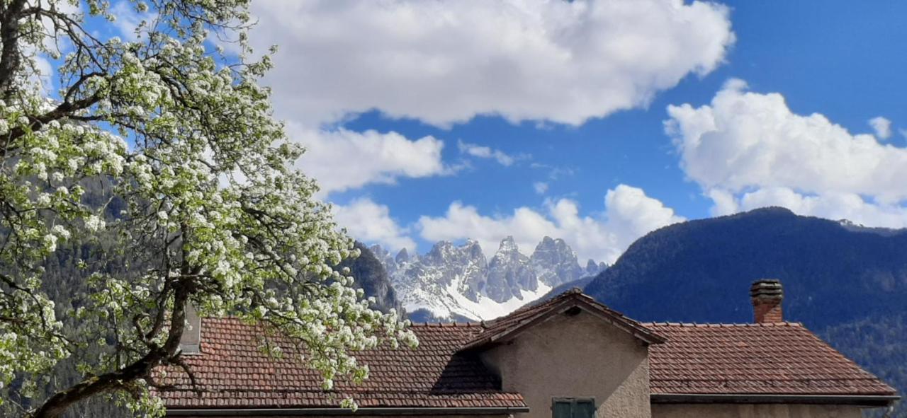 B&B Sognoincadore Domegge di Cadore Exterior foto
