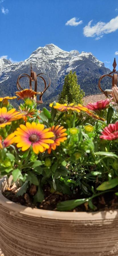 B&B Sognoincadore Domegge di Cadore Exterior foto