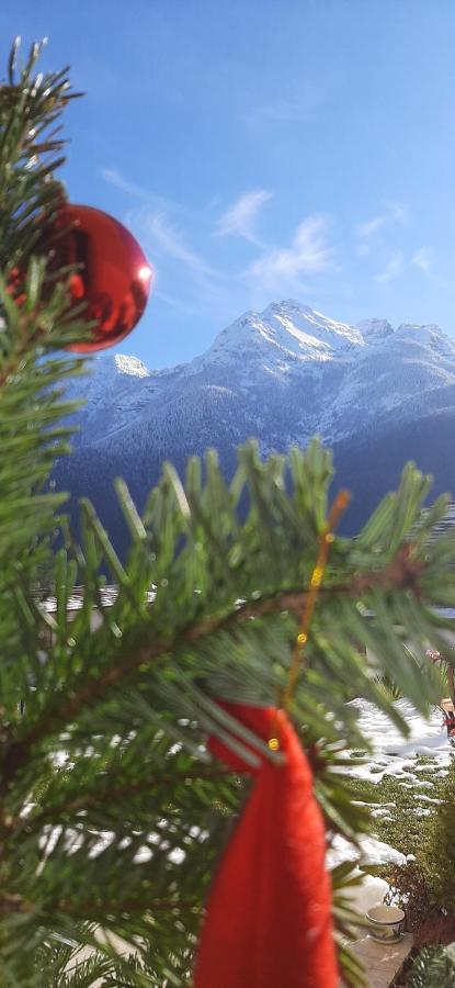 B&B Sognoincadore Domegge di Cadore Exterior foto