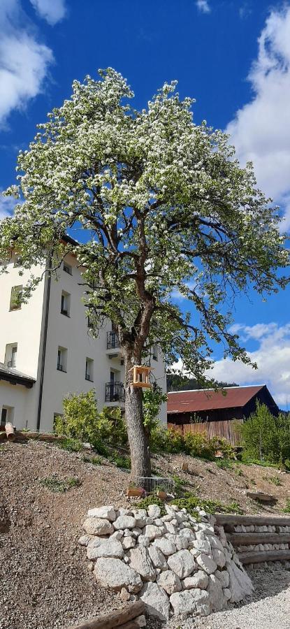 B&B Sognoincadore Domegge di Cadore Exterior foto