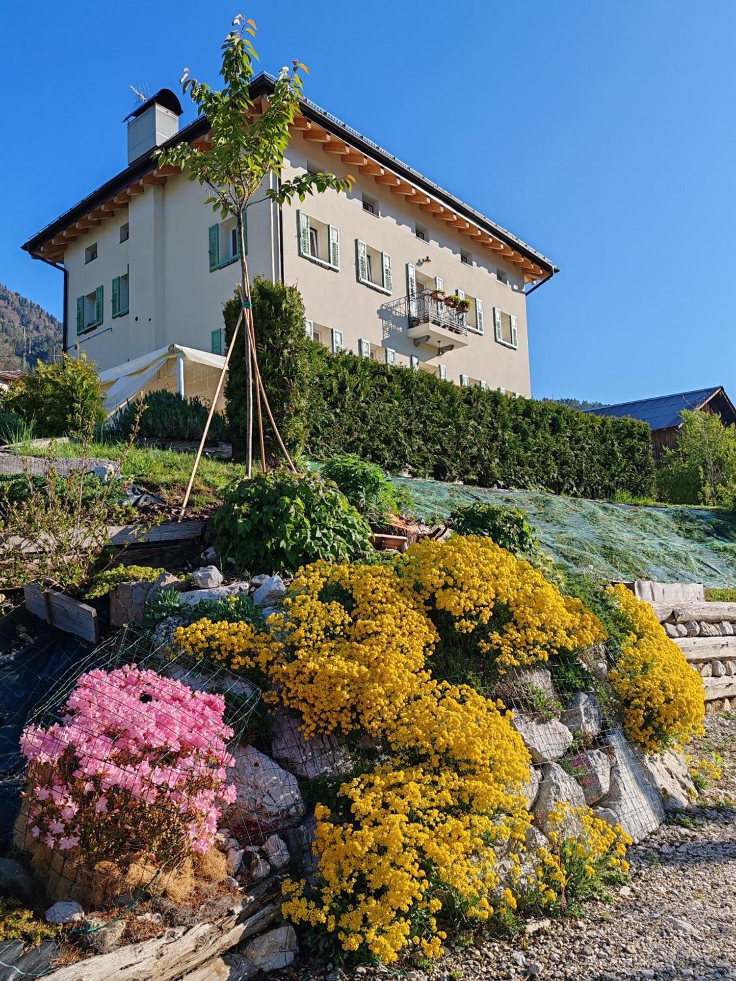 B&B Sognoincadore Domegge di Cadore Exterior foto